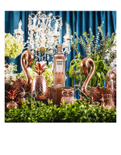 Load image into Gallery viewer, Absolut Elyx - Single Estate Handcrafted Vodka (1.75L)